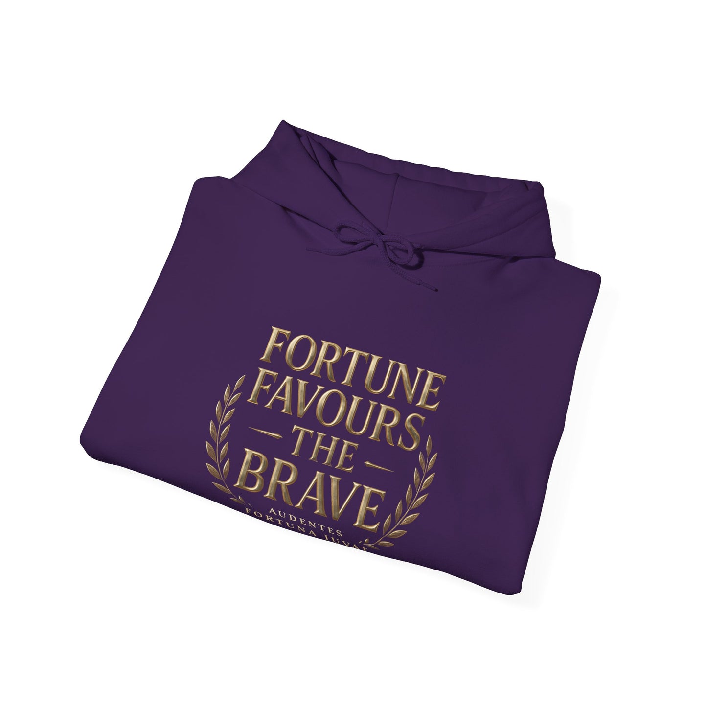 Fortune Favours the Brave Unisex Heavy Blend™ Hooded Sweatshirt