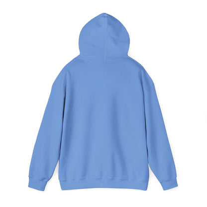 Philippines Retro Surf Hoodie – Vintage Flag Sun & Waves Pullover