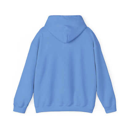 Philippines Retro Surf Hoodie – Vintage Flag Sun & Waves Pullover
