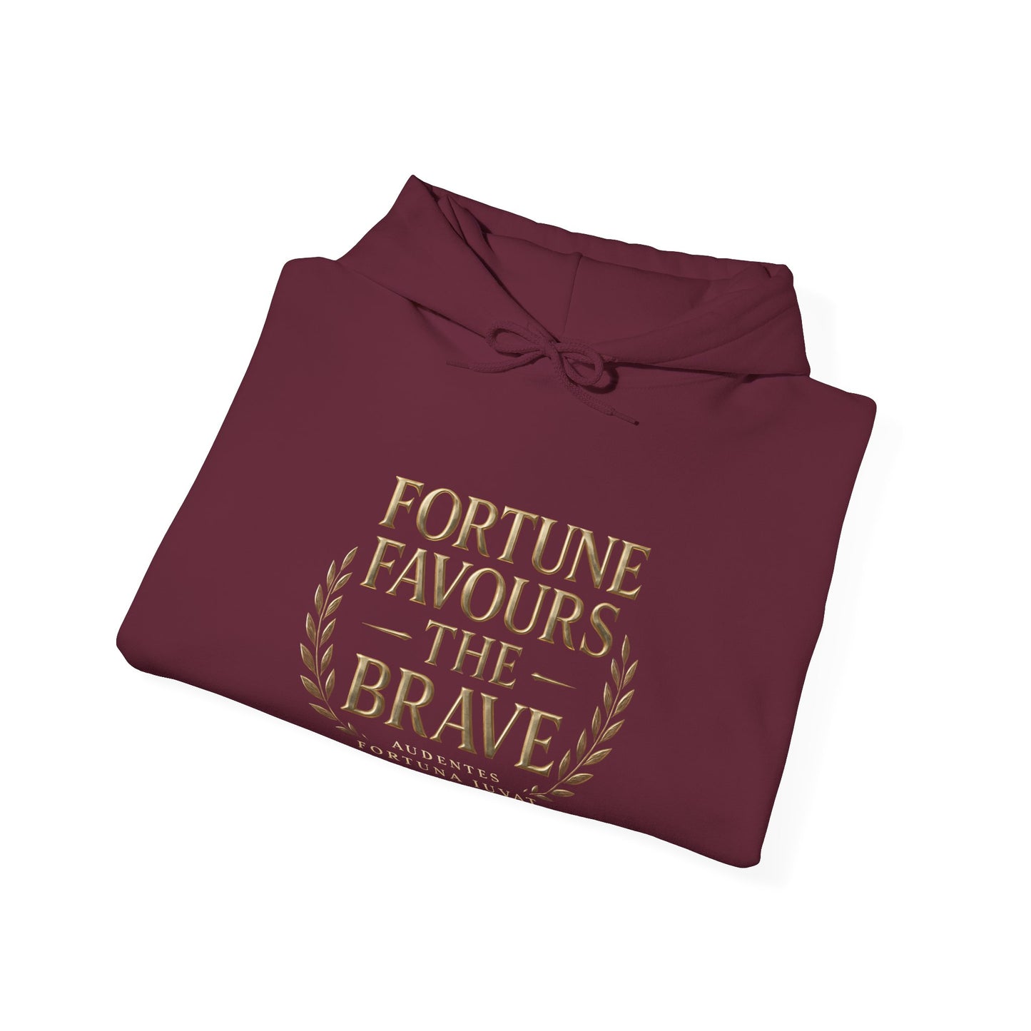 Fortune Favours the Brave Unisex Heavy Blend™ Hooded Sweatshirt