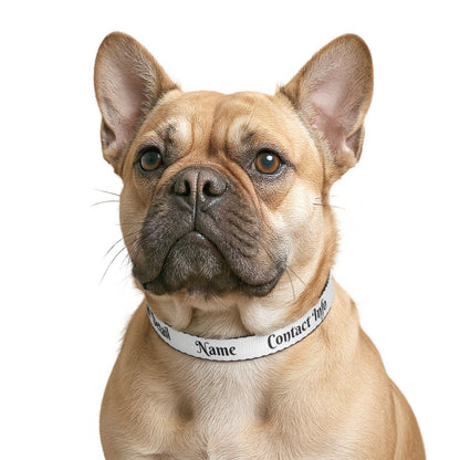 Personalized Clip-On Pet Collar — Custom Name & Contact Info