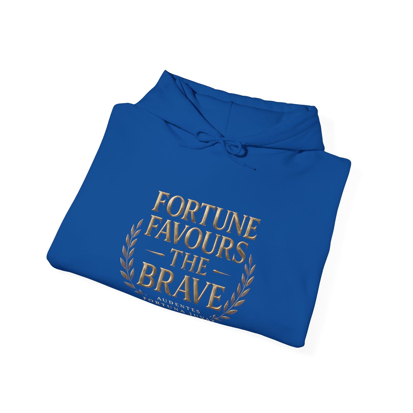 Fortune Favours the Brave Unisex Heavy Blend™ Hooded Sweatshirt