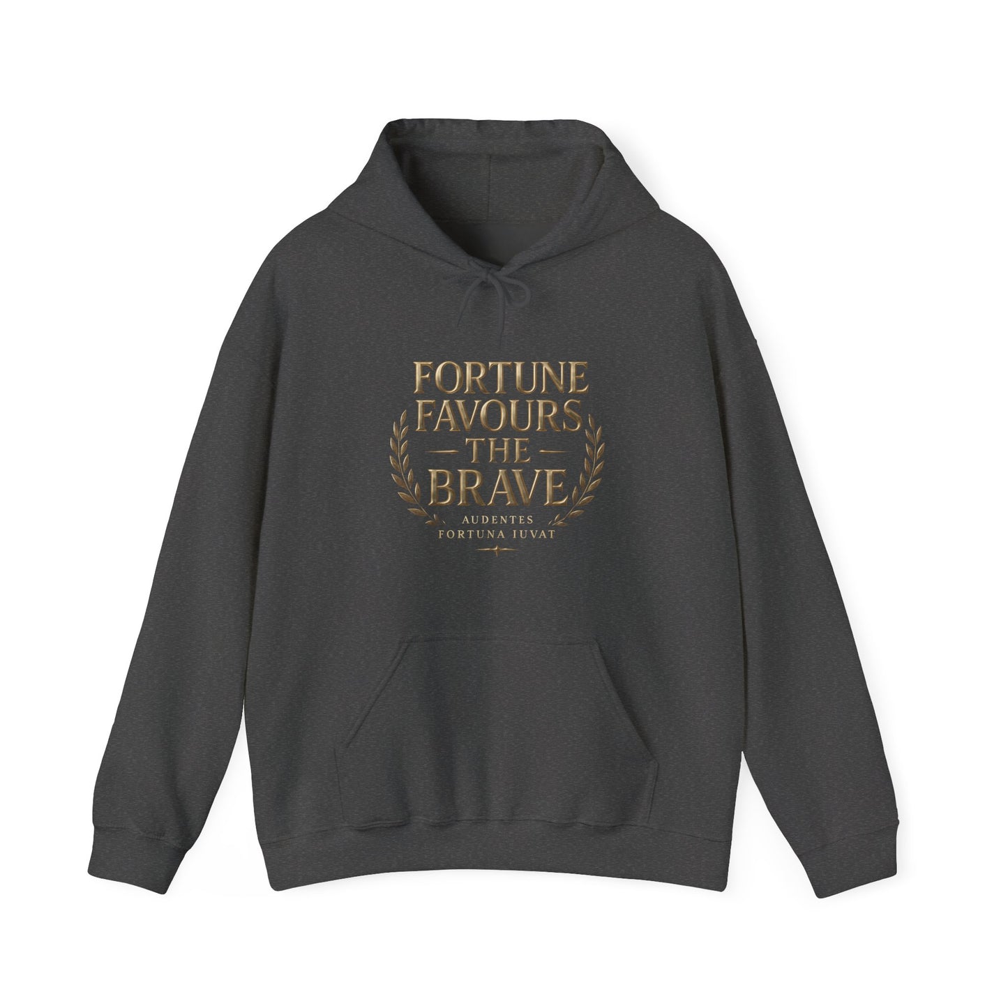 Fortune Favours the Brave Unisex Heavy Blend™ Hooded Sweatshirt