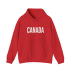 Canada Flag Hoodie – Vintage Canada Text & Maple Leaf Pullover
