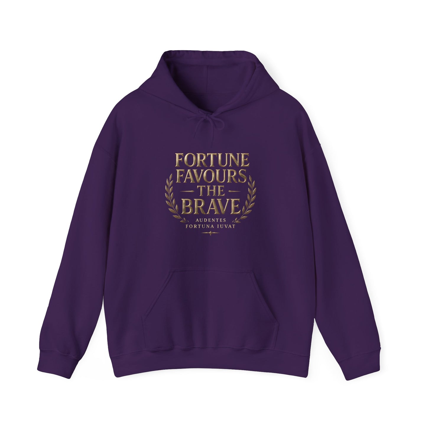 Fortune Favours the Brave Unisex Heavy Blend™ Hooded Sweatshirt