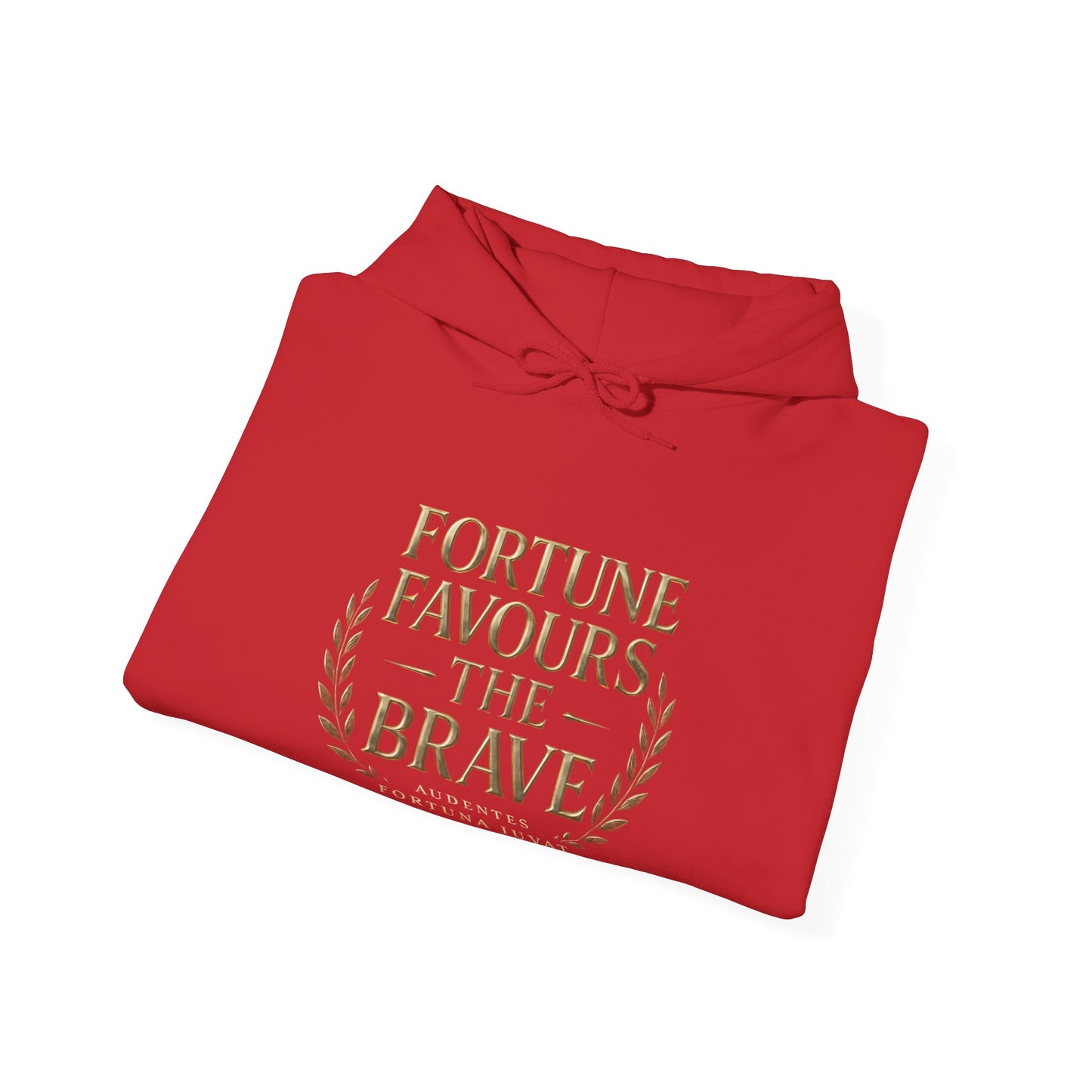 Fortune Favours the Brave Unisex Heavy Blend™ Hooded Sweatshirt