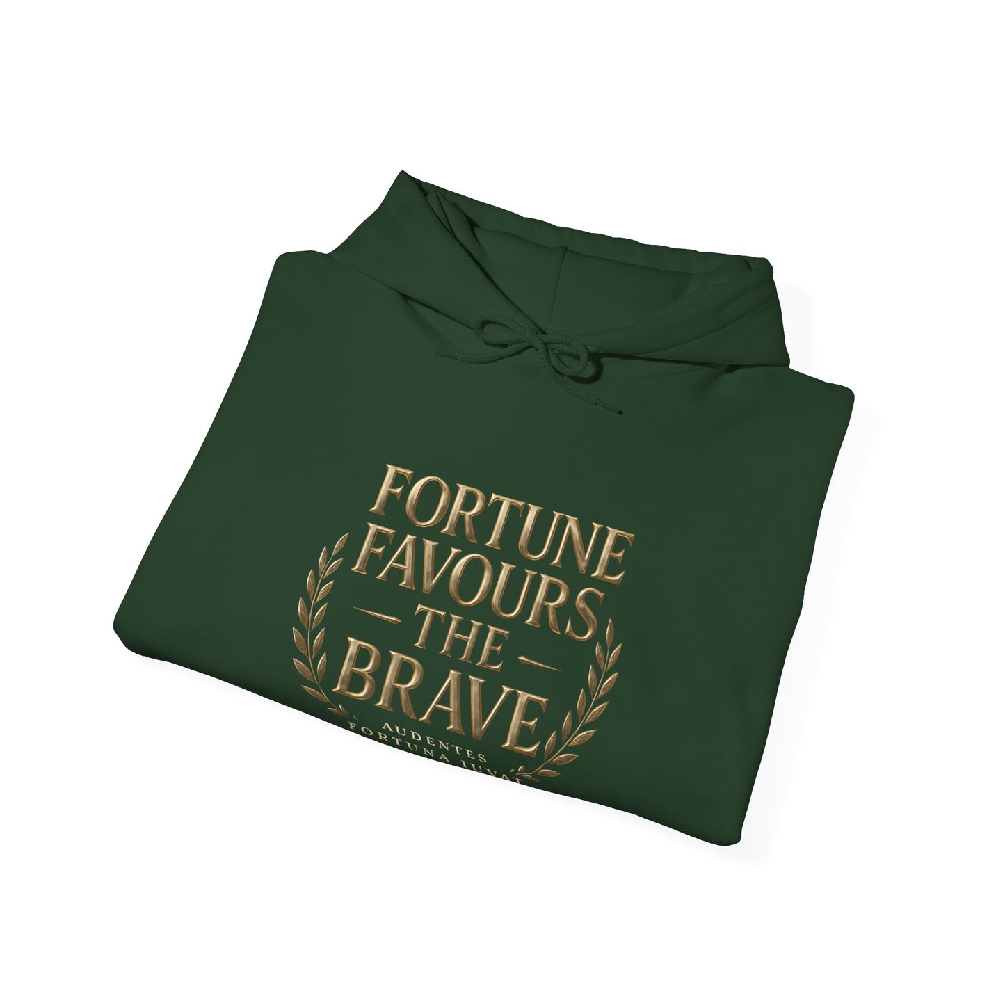 Fortune Favours the Brave Unisex Heavy Blend™ Hooded Sweatshirt