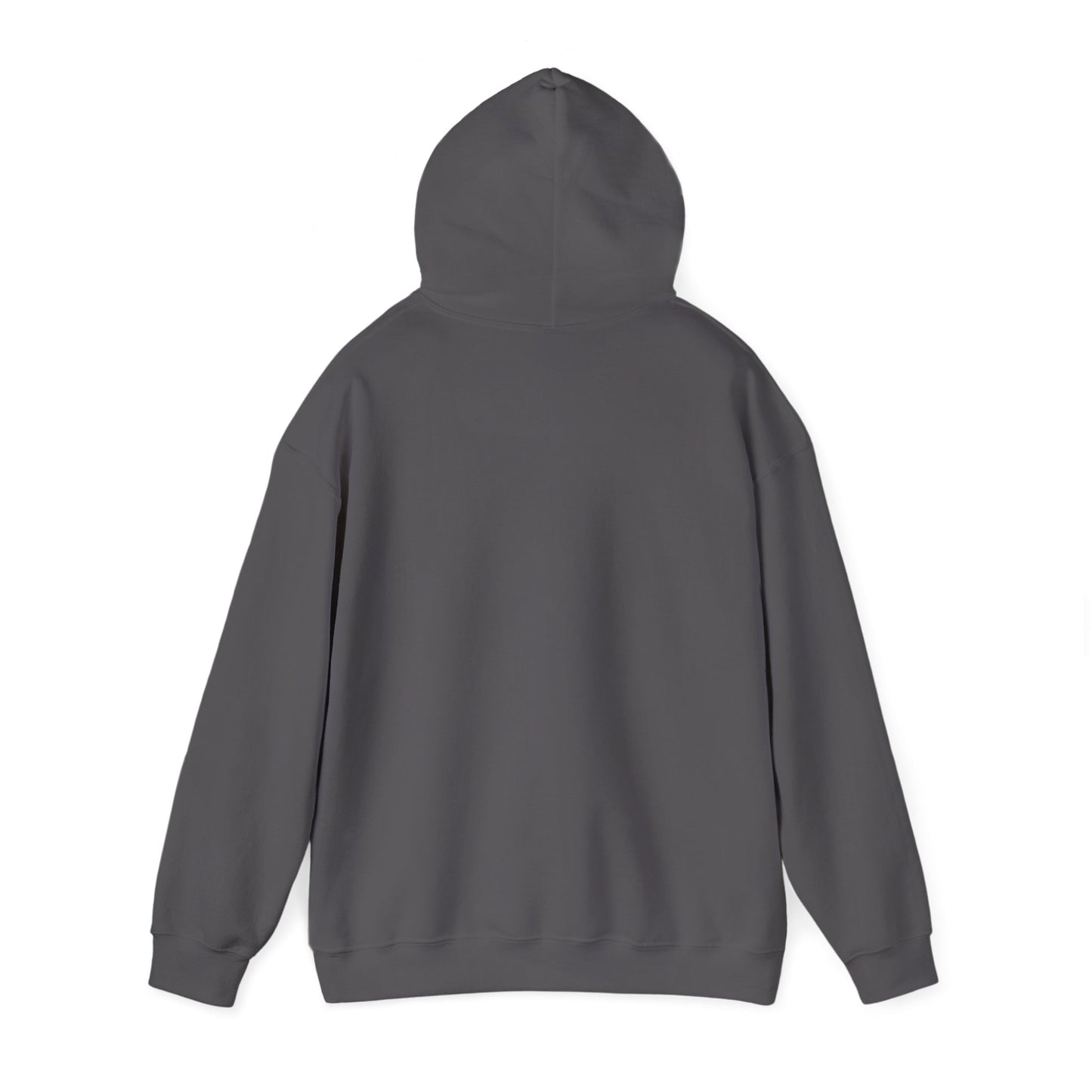 Philippines Retro Surf Hoodie – Vintage Flag Sun & Waves Pullover