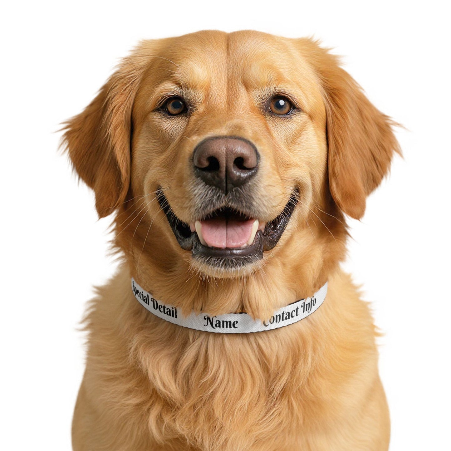 Personalized Clip-On Pet Collar — Custom Name & Contact Info