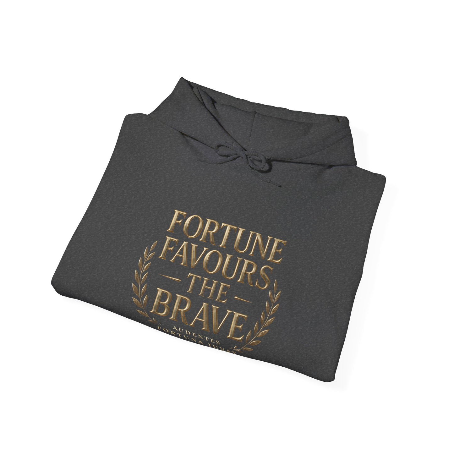 Fortune Favours the Brave Unisex Heavy Blend™ Hooded Sweatshirt